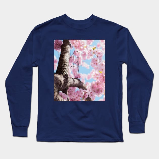 Aesthetic Cherry Blossom Long Sleeve T-Shirt by Haministic Harmony